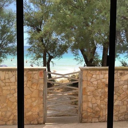 Villa Zack San Pietro in Bevagna Exteriör bild